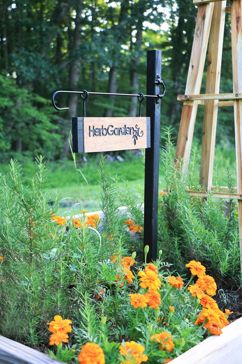 Cricut wood project idea herb garden sign