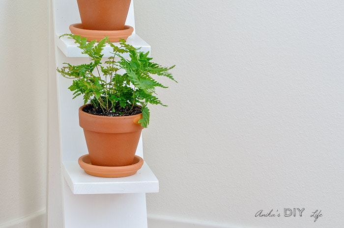 Close up plant on DIY tiered plant stand