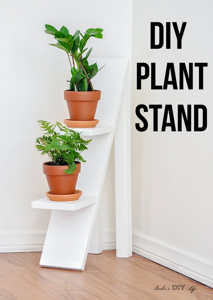 DIY tiered plant stand with 2 small plants and text overlay