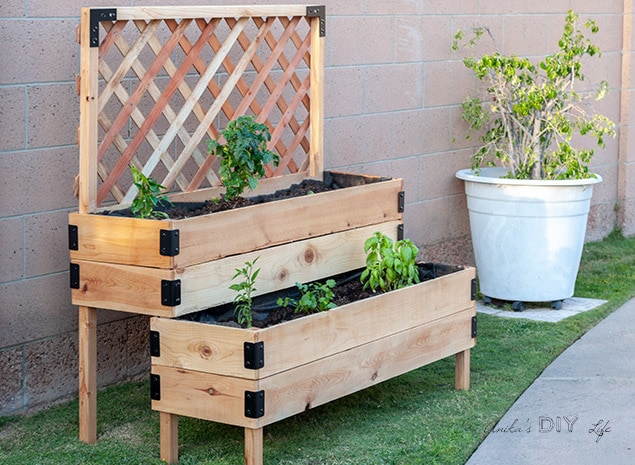 DIY Tiered raised vegetable bed with legs and trellis in backyard with vegetable plants 