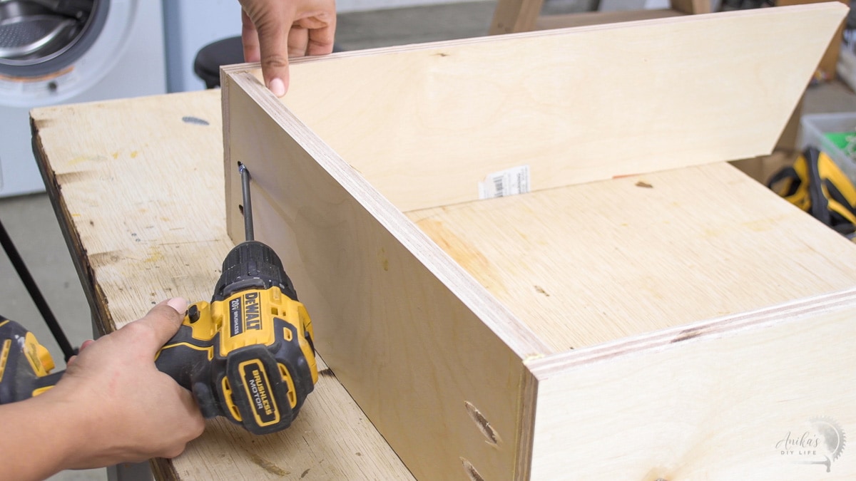 Woman attaching plywood using pocket hole screws